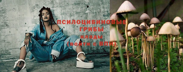 дживик Алексеевка