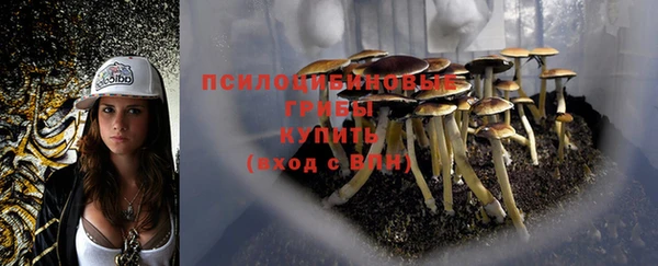 бошки Алексин