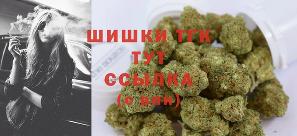 бошки Алексин