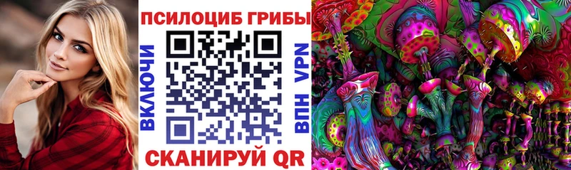 Галлюциногенные грибы Cubensis Рыбное